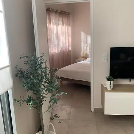 Apartment Virgil Barel Nice