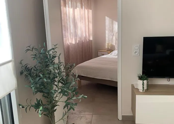 Apartment Virgil Barel Nice